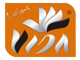 My Website